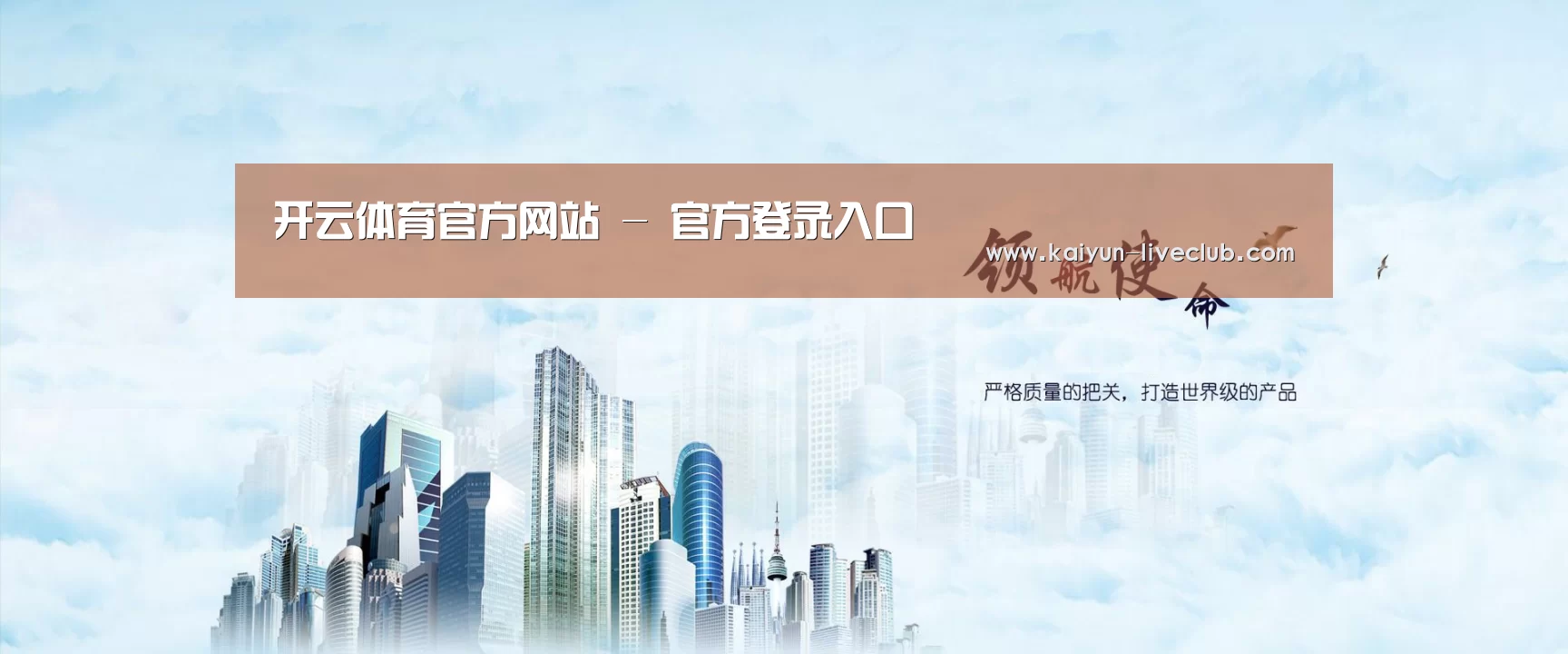 开云体育公司