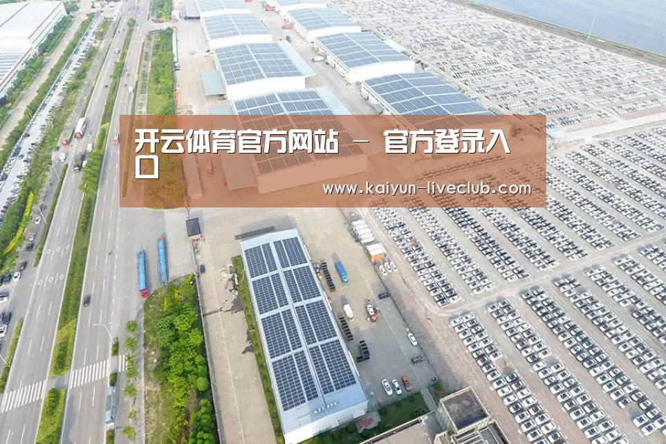 案例展示三