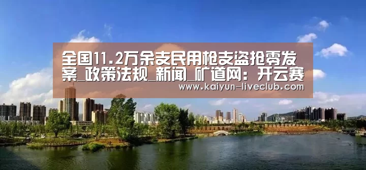 全国11.2万余支民用枪支盗抢零发案_政策法规_新闻_矿道网:开云赛事(图3) 开云篮球