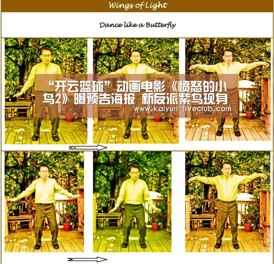 “开云篮球”动画电影《愤怒的小鸟2》曝预告海报 新反派紫鸟现身惹麻烦(图1) 开云足球