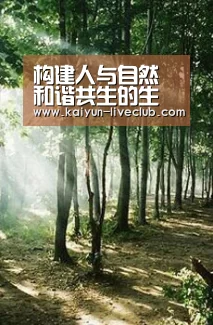 开云篮球