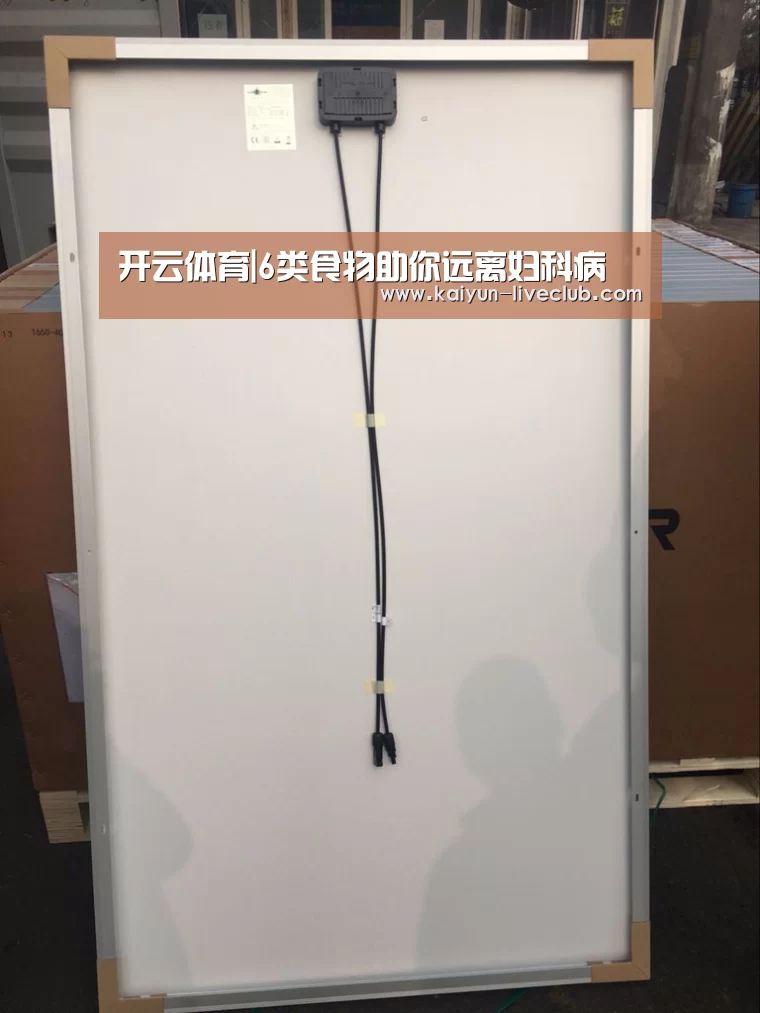开云篮球