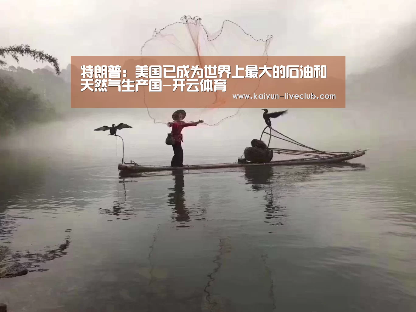 开云篮球